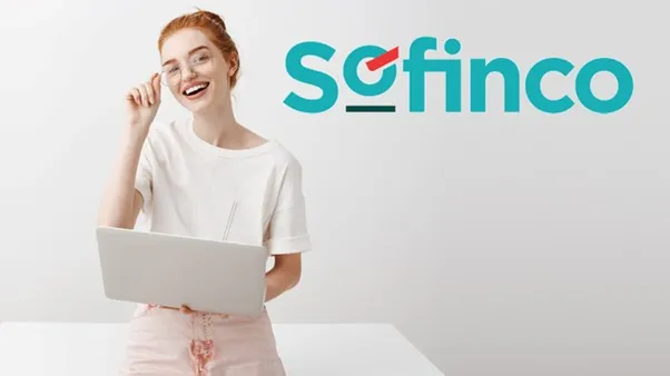 Cómo impacta el resumen del sector financiero a Sofinco 7 como impacta el resumen del sector financiero a sofinco