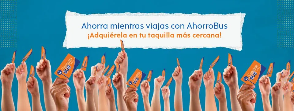como puedo consultar mi saldo en el sitio web www bb com