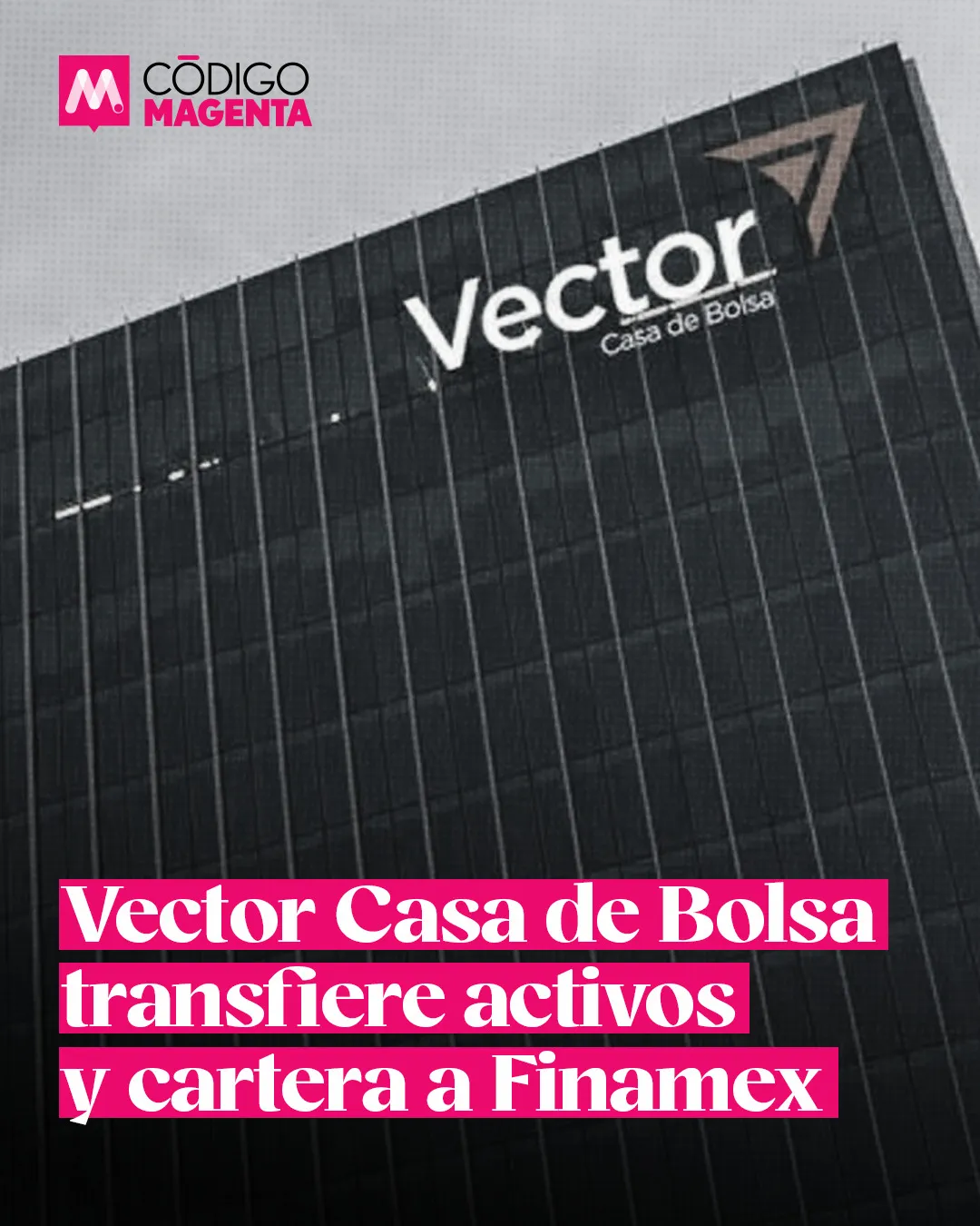 cuales son las comisiones y productos de vector casa de bolsa
