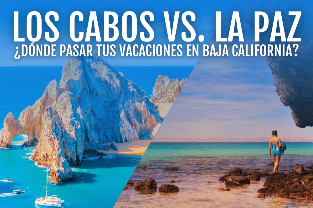 es eficiente la atencion a usuarios de condusef en los cabos y la paz
