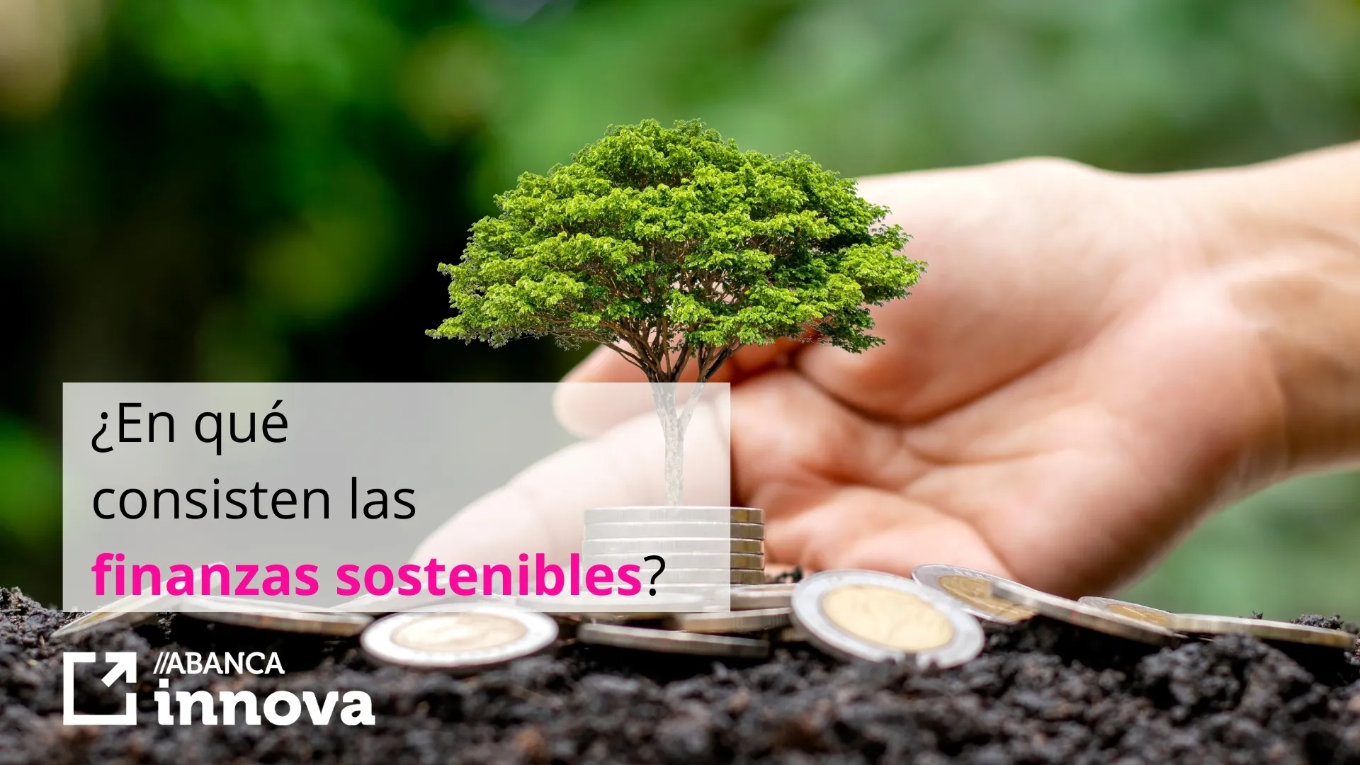 las finanzas sostenibles impulsan los bonos de sostenibilidad