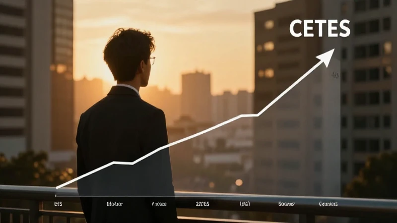 CETES ofrece oportunidades de inversión a futuro