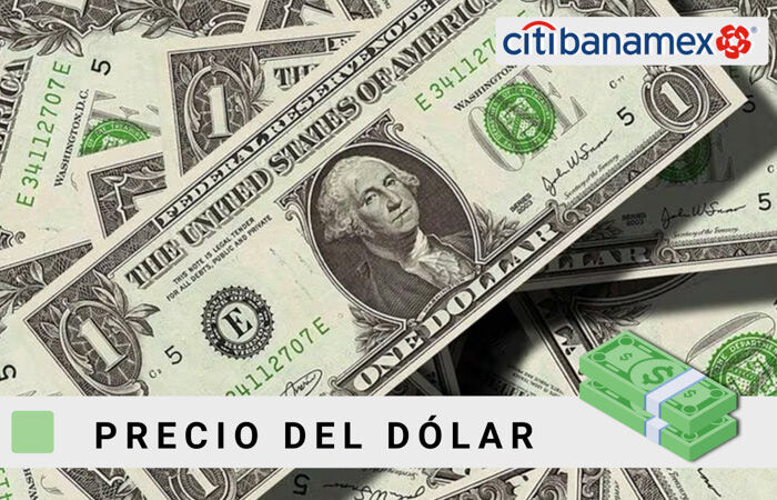 Tipo de Cambio Dólar Banamex: Consulta Otras Divisas Aquí